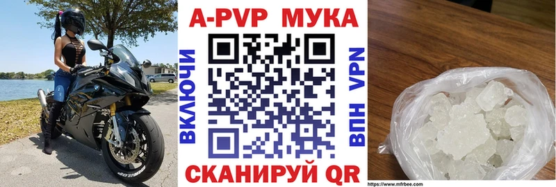 MEGA вход  Чудово  Alfa_PVP СК 