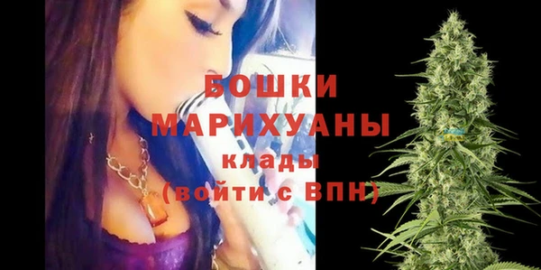 винт Арсеньев