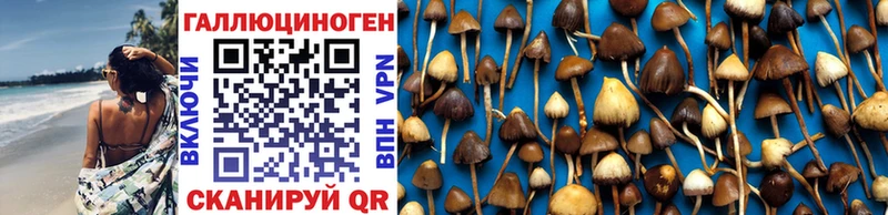 Галлюциногенные грибы Magic Shrooms  где купить   кракен ТОР  Чудово 