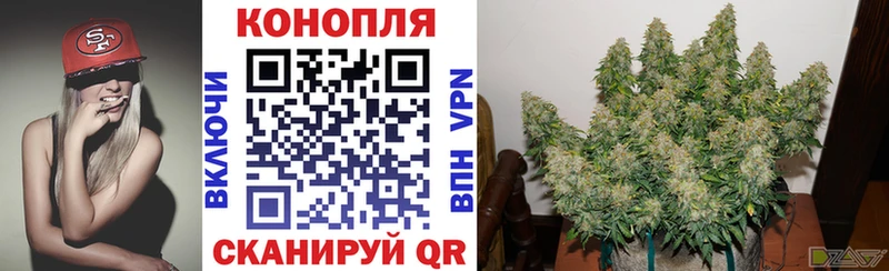 МАРИХУАНА семена  Чудово 